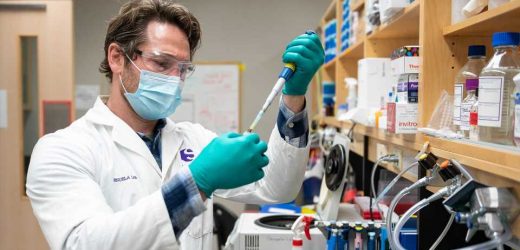 Deleting specific gene in male mice reduces fat mass