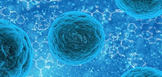 Epigenetic aging clock predicts the biological age of individual cells