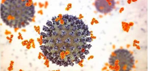 How did the COVID pandemic affect the spread of other zoonotic diseases?