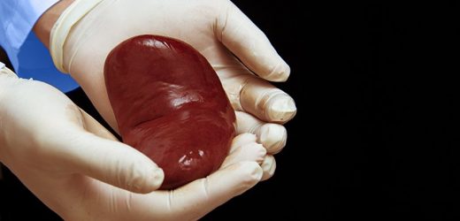 Kidneys From Donors With AKI Often Unnecessarily Discarded