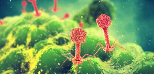 Mystery viruses, electric bacteria, tiny plastic-eaters: 10 things we learned about microbes in 2021