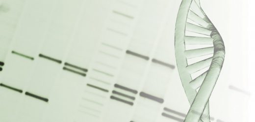 Research provides compelling insights into the complex nature of genomic imprinting in mice