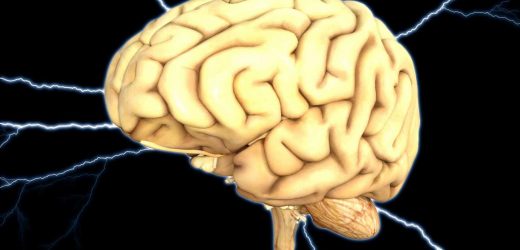 Researchers develop a molecule that inhibits degenerative processes related to Alzheimers disease