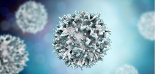 SARS-CoV-2 infection and vaccination-induced T cells cross-recognize Omicron