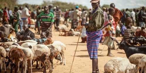 The eye doctor restoring sight to nomadic herders
