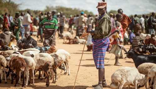 The eye doctor restoring sight to nomadic herders