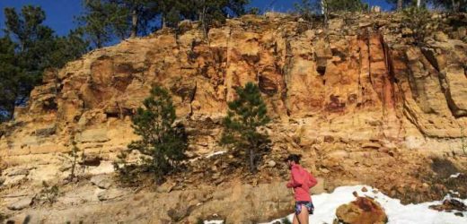 Tips for getting healthy and staying healthy during the cold Winter months