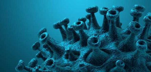 Unraveling the early host-immune response to SARS-CoV-2 in mild COVID-19 infections