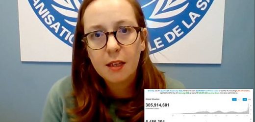 WHO official says Covid is &apos;nowhere near&apos; becoming endemic