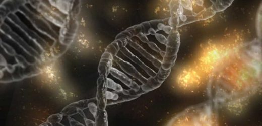 Analysis of 2,658 tumors sheds new light on mutations in cancer