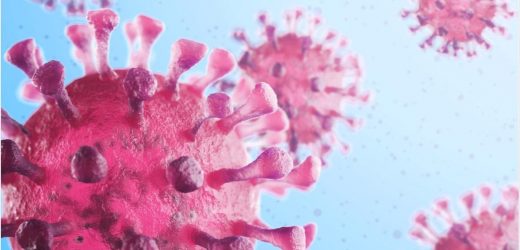 COVID-19 vaccines elicit cross-reactive antibodies against endemic coronaviruses