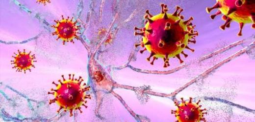 Changes in the brain cortex of COVID-19 patients associated with inflammatory biomarkers
