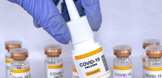 Clinical Trials of Nasal COVID Vaccine to Start This Year