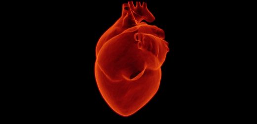 Heart attack survivors may be less likely to develop Parkinson’s disease