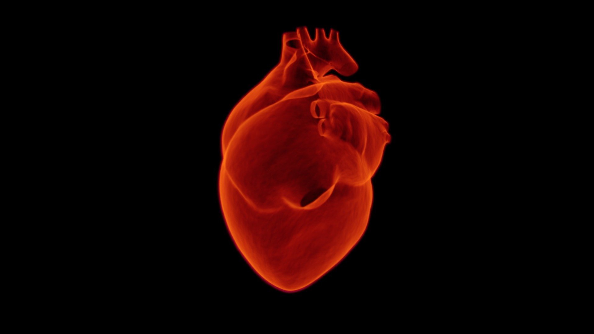 Heart attack survivors may be less likely to develop Parkinson’s disease