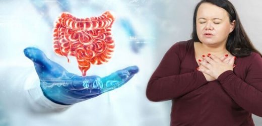 Heart disease: Four key factors impacting the gut microbiome increasing poor heart health