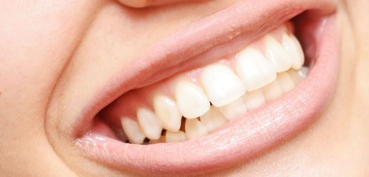 How many teeth do humans have?
