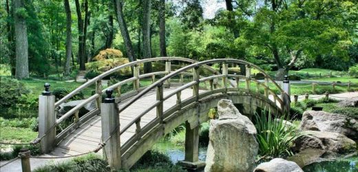 More Americans than ever enjoy outdoor health benefits, but racial inequities persist