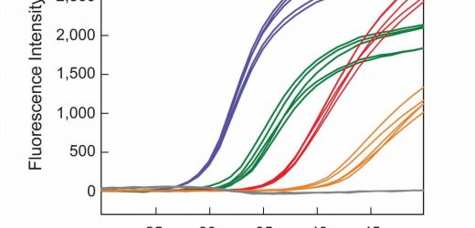 New assay shows promise for advancing personalized cancer treatment