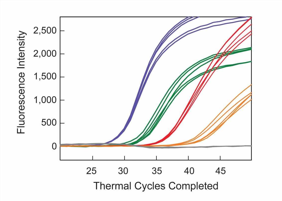 New assay shows promise for advancing personalized cancer treatment