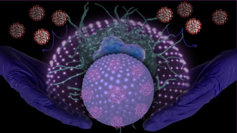 Researchers develop molecular traps to target SARS-CoV-2