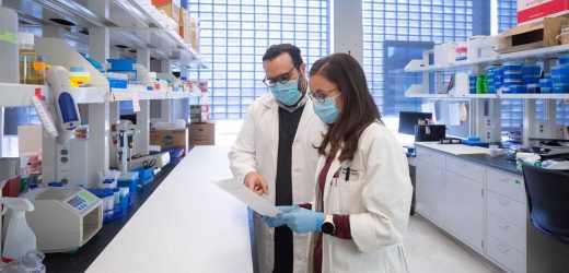 Researchers identify biomarkers to predict patient response to immunotherapy treatment for melanoma