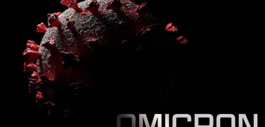 Stealth version of Omicron variant no cause for alarm, experts say