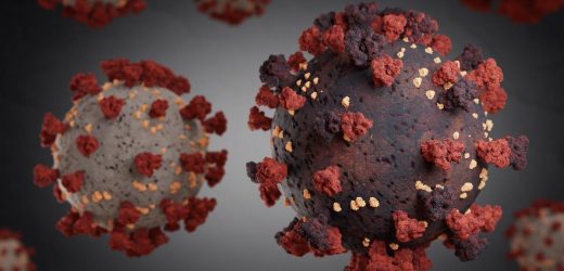 Study explores omicron-reactive T- and B- cell responses in COVID-19 vaccine recipients
