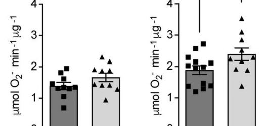 Study identifies potential new approach for treating diabetes complications