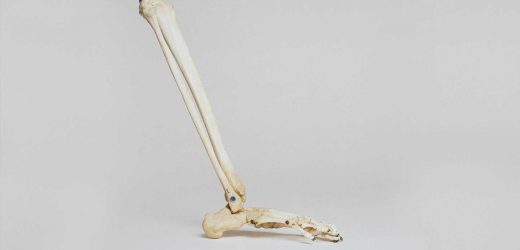 Study identifies potential target for osteoporosis treatments