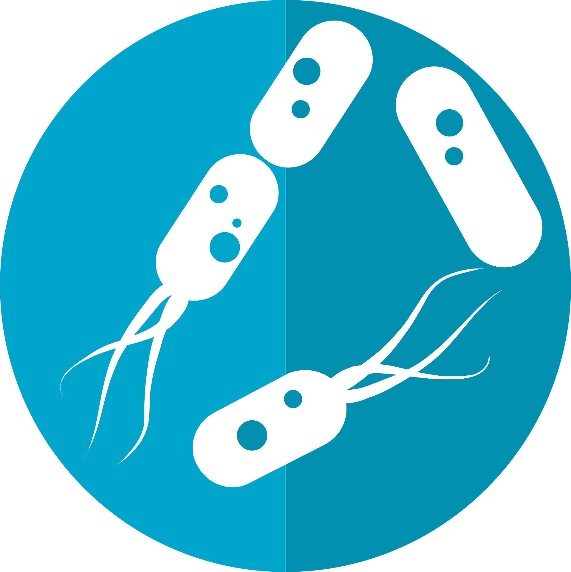 Understanding the role of gut microbiome in gestational diabetes