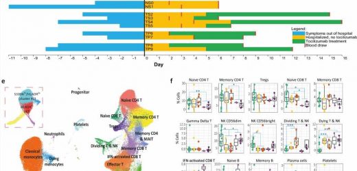 Using high-resolution, single-cell profiling to understand immune response in severe COVID-19