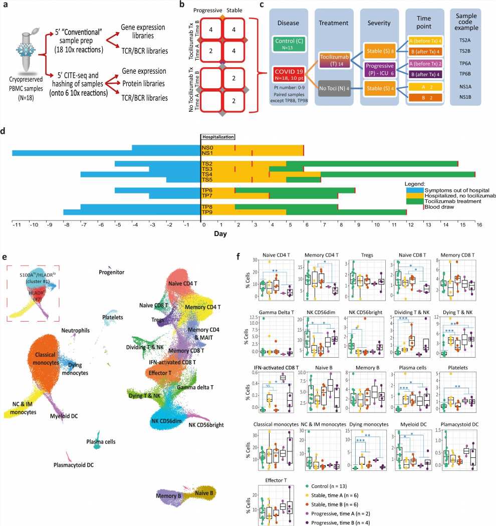 Using high-resolution, single-cell profiling to understand immune response in severe COVID-19