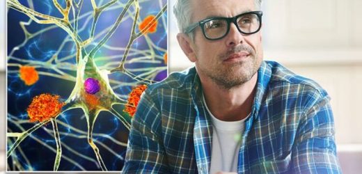 Alzheimer’s: Cognitive reserve can affect likelihood of disease – how to make it better