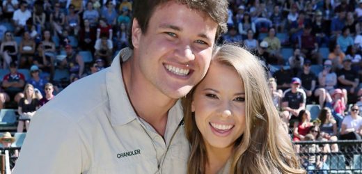 Bindi Irwin's Latest Video of Grace Warrior Shows She May Have This Skill In Common With Her Uncle