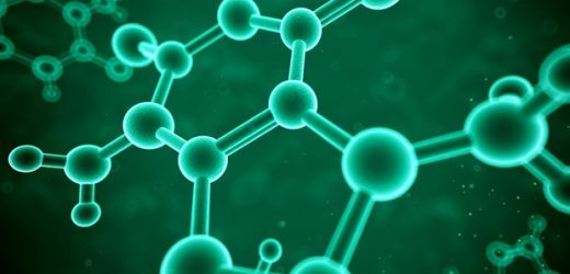 Deep-water cone snails produce a potentially painkilling compound, study reports