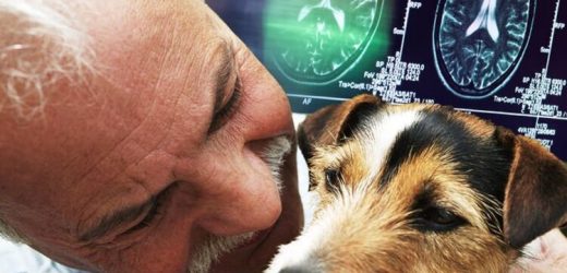 Dementia: Do you own a pet? New study explores the impact pet ownership has on the brain