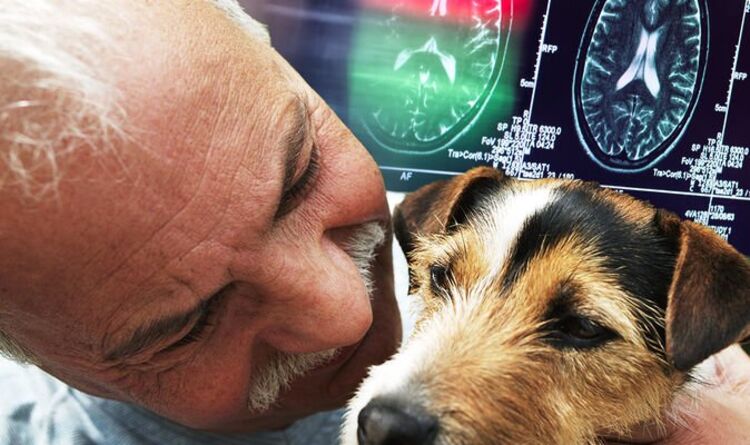Dementia: Do you own a pet? New study explores the impact pet ownership has on the brain