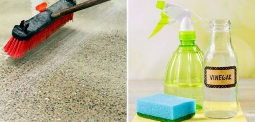 How to clean patio slabs without a pressure washer – the simple hack using vinegar