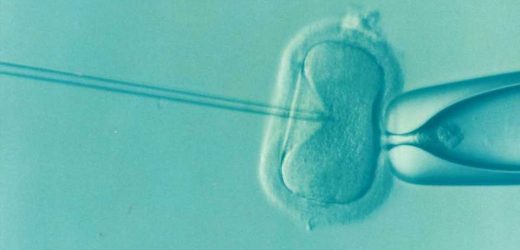 IVF children shown to have a better quality of life as adults in new study