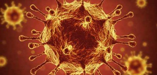 Immunomolecular detection method to rapidly and accurately detect complete SARS-CoV-2 virions