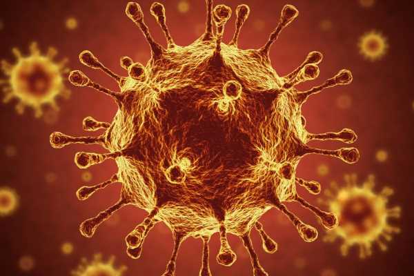 Immunomolecular detection method to rapidly and accurately detect complete SARS-CoV-2 virions