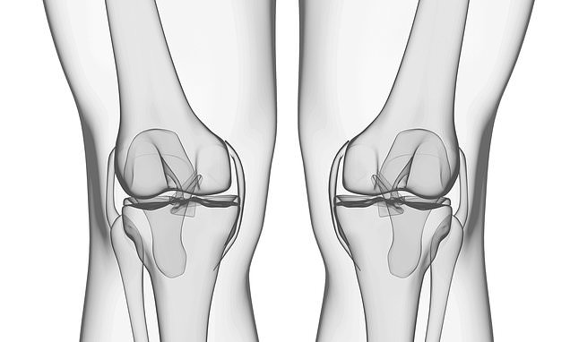 Implant zaps inside knee joint to stimulate the growth of cartilage