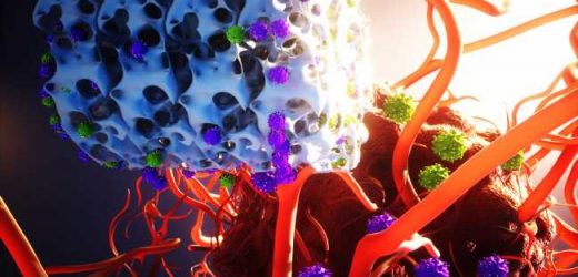 In animal study, implant churns out CAR-T cells to combat cancer