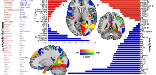 Largest ever psychedelics study maps changes of conscious awareness to neurotransmitter systems