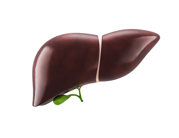 Long or irregular menstrual cycles may be linked with increased risk of NAFLD