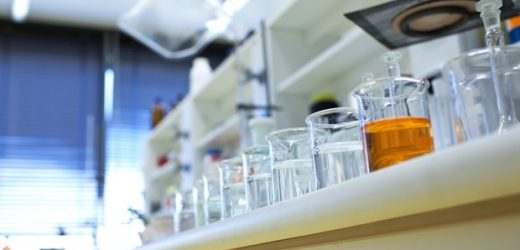 New method for generating lung tissue from just a few body cells in the lab