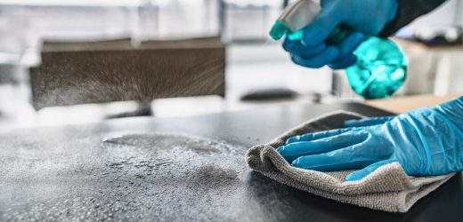 Omicron SARS-CoV-2 variant is more stable than its ancestral strain on smooth and porous surfaces