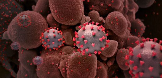 Repurposing FDA-approved drugs may help combat COVID-19