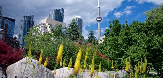 Schizophrenia Risk Partly Rooted in Access to Green Space?